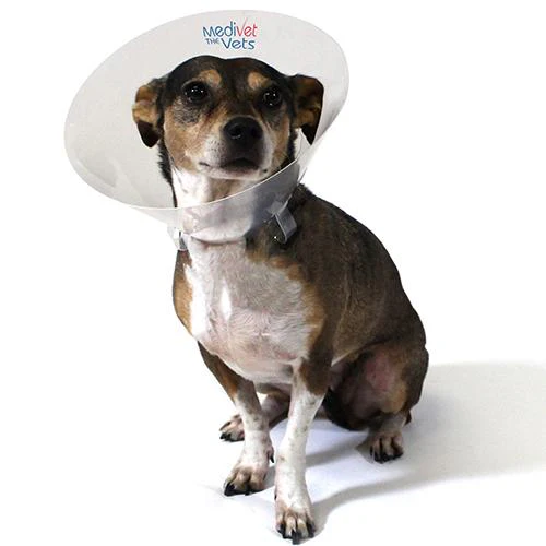 Betsy Clear Medivet Collar - Image 7