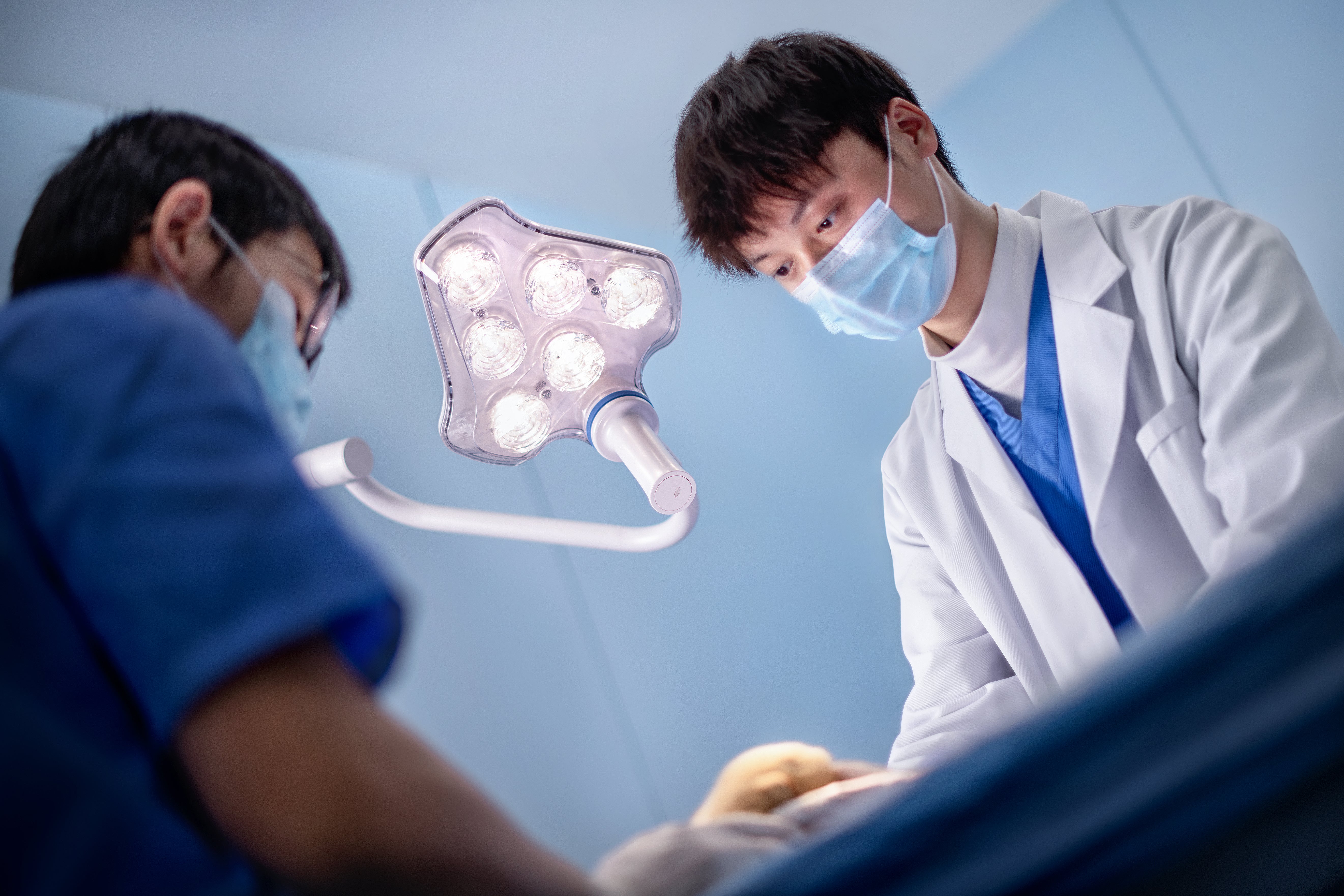 Mindray Animal VeLED E5 Examination Light - 1 head - Image 5