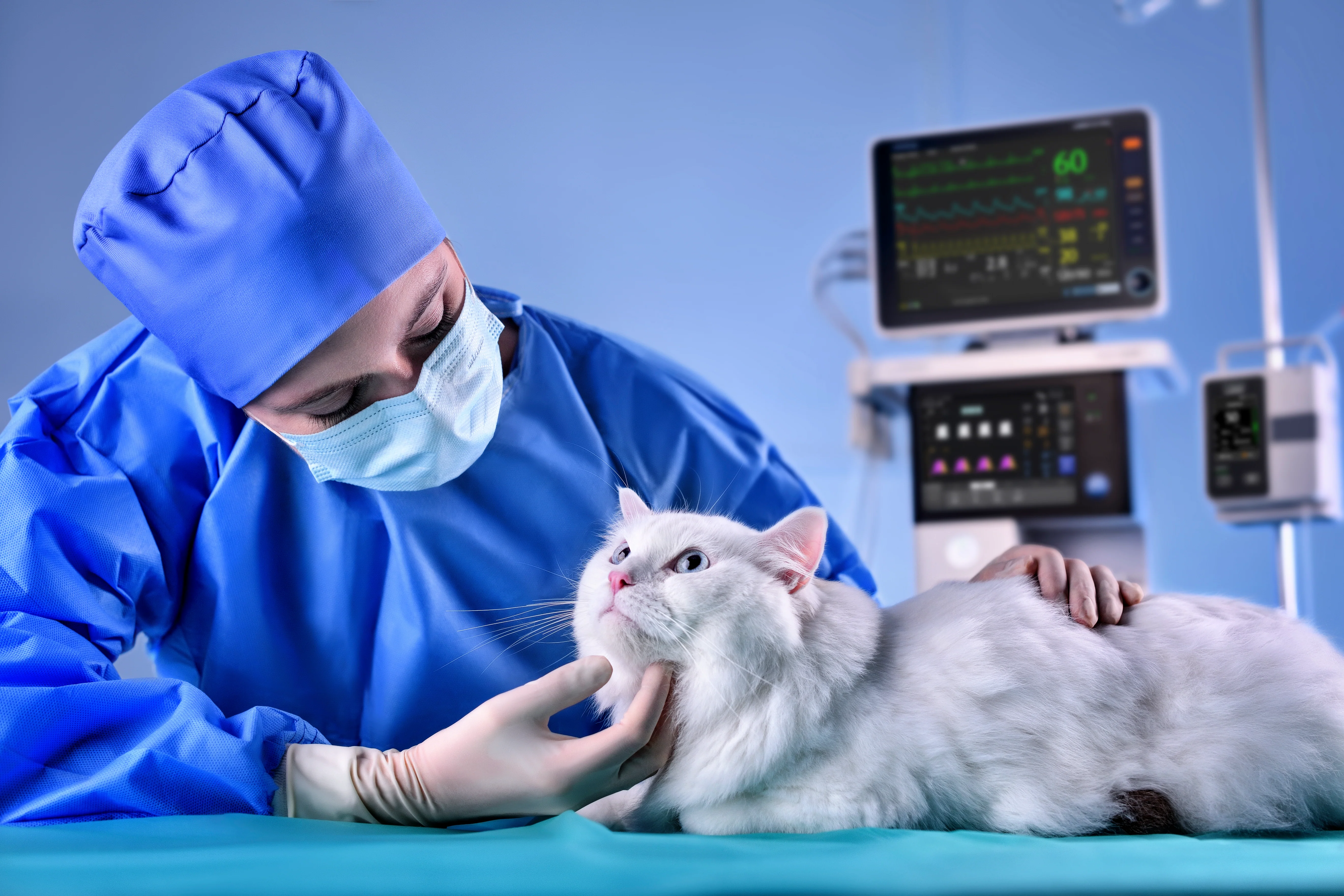 Mindray Animal Veta 5 Plus Professional Key Fill Anaesthesia Machine - Image 3